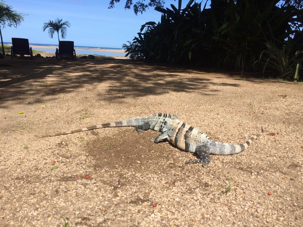 Hotel Casa Blanca Tamarindo Zewnętrze zdjęcie