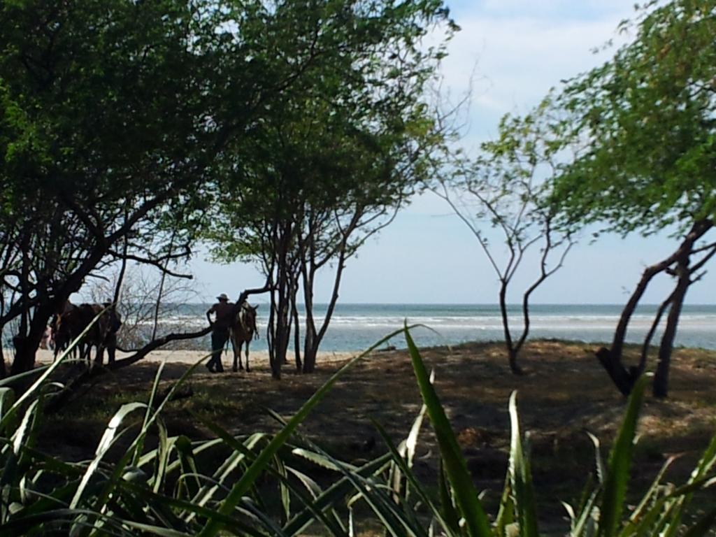 Hotel Casa Blanca Tamarindo Zewnętrze zdjęcie